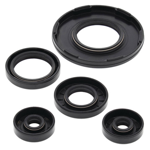 Vertex Engine Oil Seal Kit (55190)