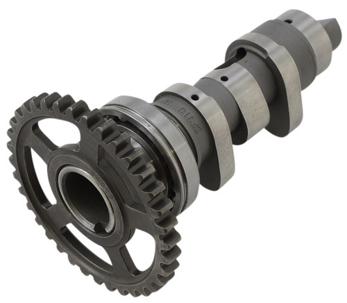 Hot Cams Stage 1 Camshaft (1318-1)