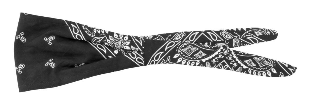 Schampa Paisley Old School Bandana